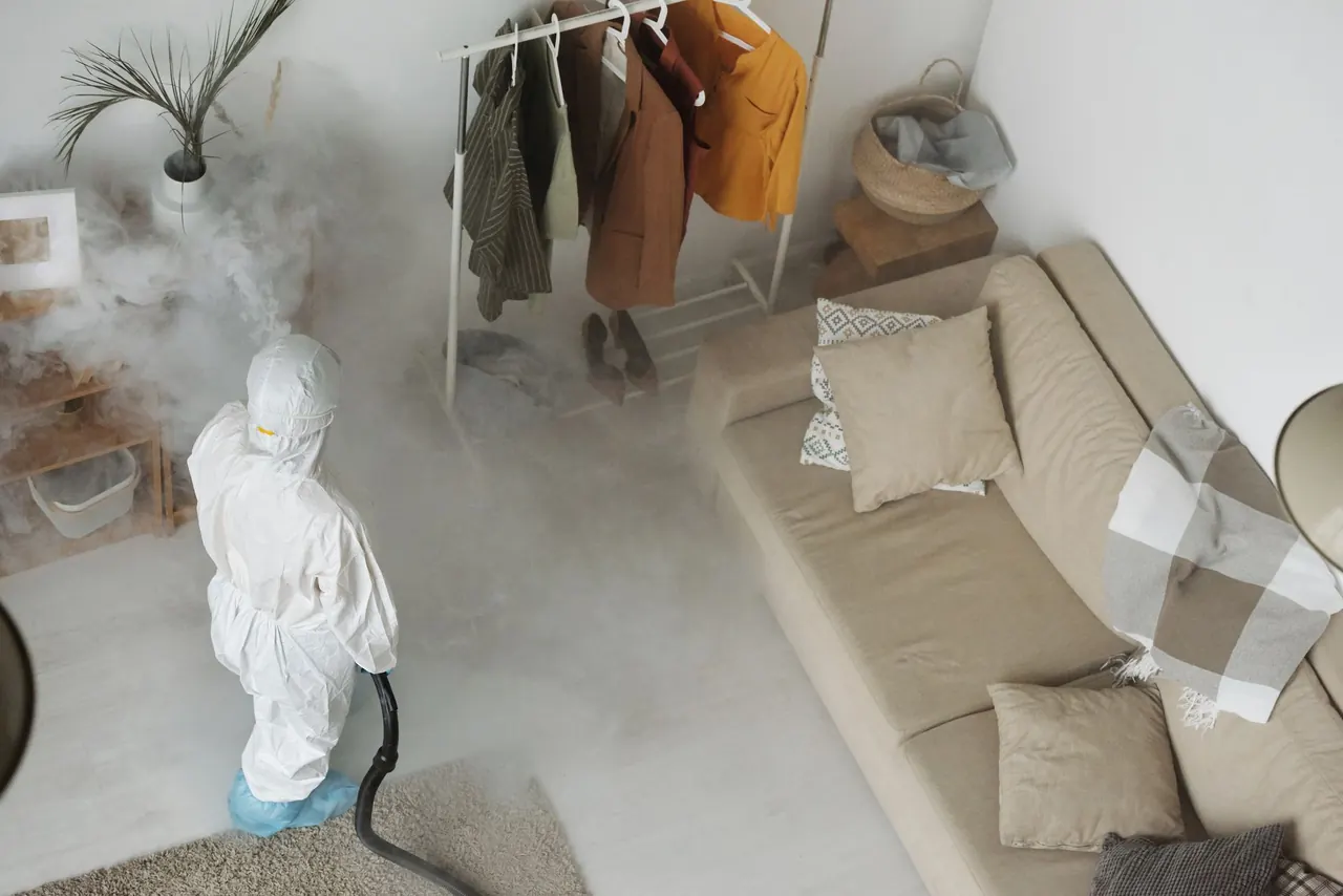 Mold Removal